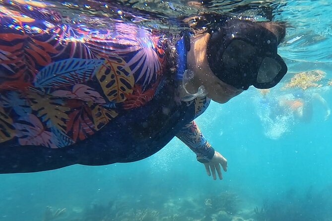 1.5 hours Snorkeling at Tulum's paradise reef - Is $36.50 a good value?