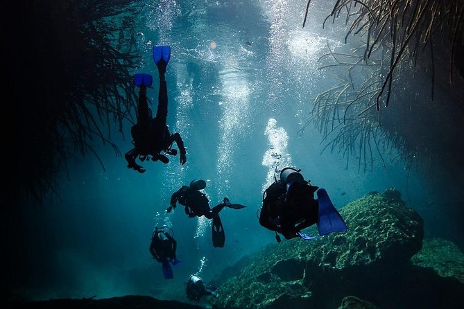 2 cenote divings (including one deep diving) for advanced divers in Tulum - Why the guide matters in a cenote