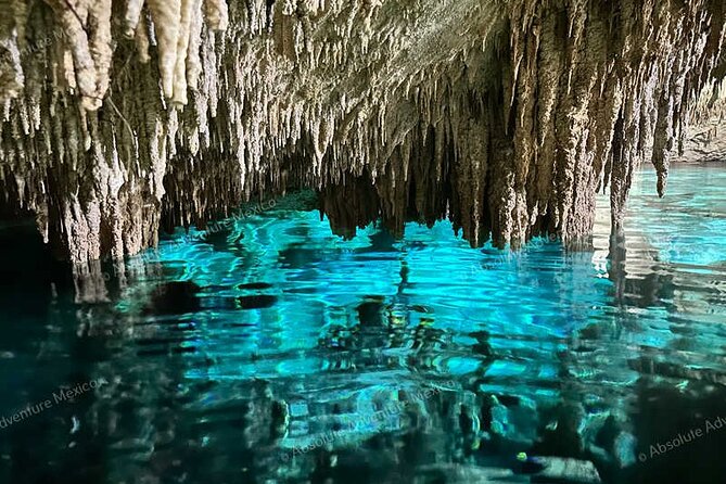 2 Cenotes Private Tour – VIP Adventure with Expert Guide - The ride from Tulum to the cenotes