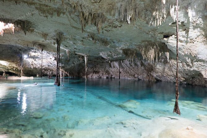 2 Cenotes Private Tour – VIP Adventure with Expert Guide - Lunch at Parque Dos Ojos