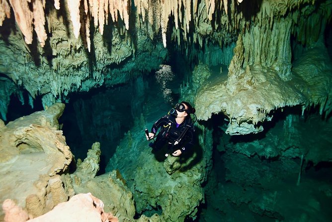 2 dives in Cenote Dos ojos Certified Divers - What the $200 price really covers