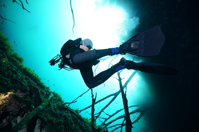 2 dives in Cenote Dos ojos Certified Divers - Equipment, sunscreen, and physical demands