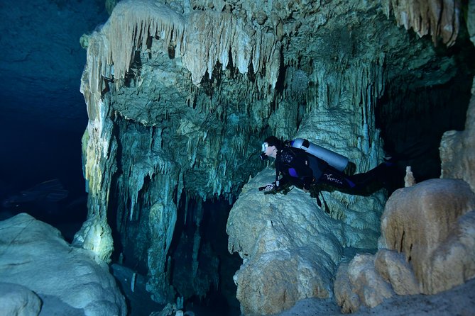 2 dives in Cenote Dos ojos Certified Divers - Who will enjoy this outing most