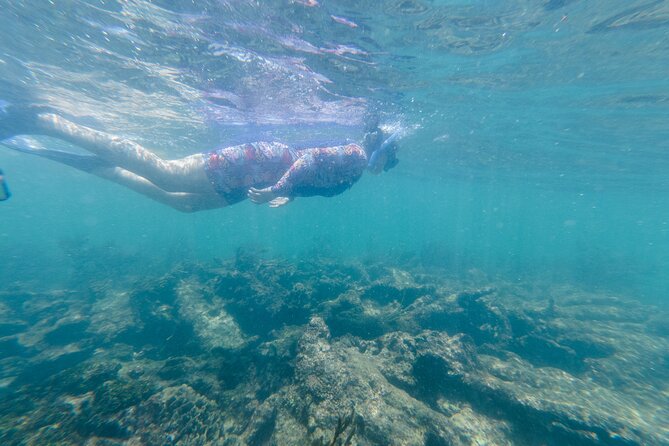 2-Hour Snorkeling in Two Spots of Tulum's Reef - Finding Playa Pescadores inside Jaguar Park