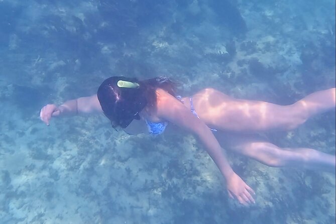 2-Hour Snorkeling in Two Spots of Tulum's Reef - Practical details that affect your comfort