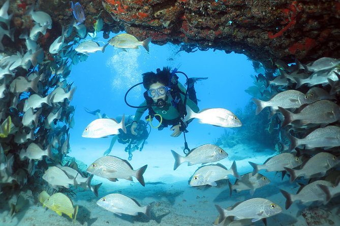 2-Tank Morning or Afternoon Dives in Playa del Carmen certified Divers Only - Why the small group matters