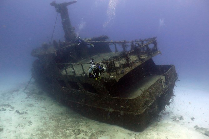 2-Tank Morning or Afternoon Dives in Playa del Carmen certified Divers Only - Getting to the shop and planning your morning