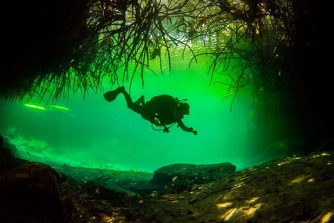 2 tanks Cenote Diving Adventure in Tulum for Certified Divers - Two cenotes, two very different underwater settings