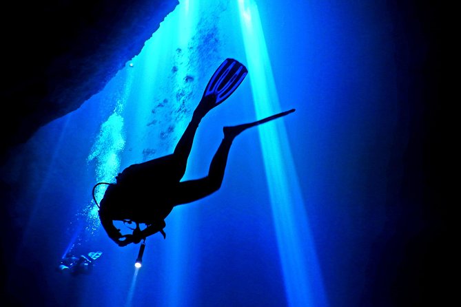 2 tanks Cenote Diving Adventure in Tulum for Certified Divers - Dos Ojos brings the most dramatic scenery