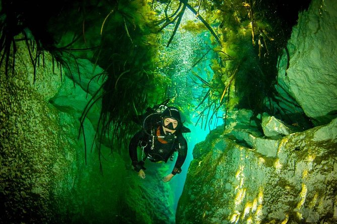 2 tanks Cenote Diving Adventure in Tulum for Certified Divers - Who will get the most from this outing