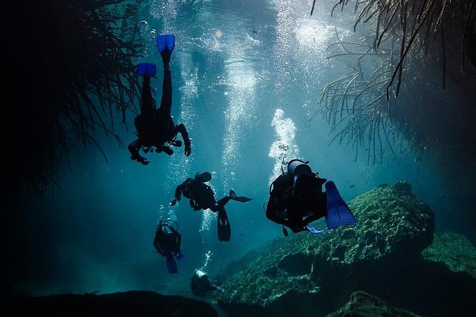 2 tanks Cenote Diving Adventure in Tulum for Certified Divers - Practical timing, health, and cancellation details