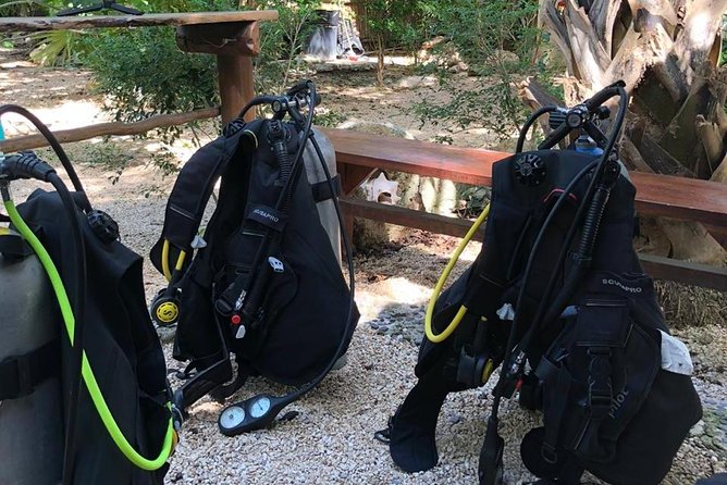 2 tanks Cenote Diving Adventure in Tulum for Certified Divers - Small-group attention is the real advantage