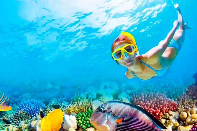2x1 Tour: Isla Contoy, Isla Mujeres, Open Bar, Lunch and Transfers - Isla Contoy gives the day its real character