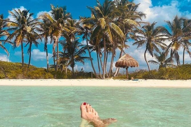 2x1 Tour: Isla Contoy, Isla Mujeres, Open Bar, Lunch and Transfers - A small group, but not a private outing