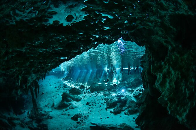 3 Cenote Dives - Casa & Dos Ojos - Why Casa Cenote and Dos Ojos make a strong pair