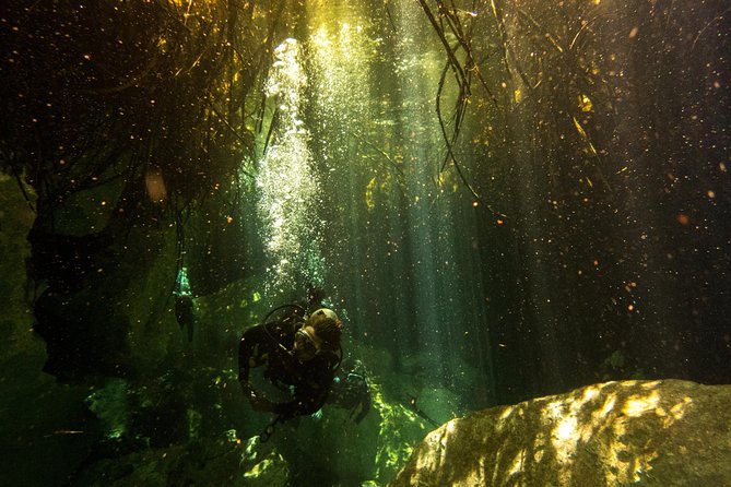 3 Cenote Dives - Casa & Dos Ojos - The two Dos Ojos sessions