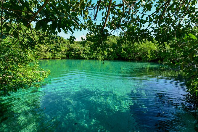 3 Cenote Dives - Casa & Dos Ojos - The guides and the human side of the trip