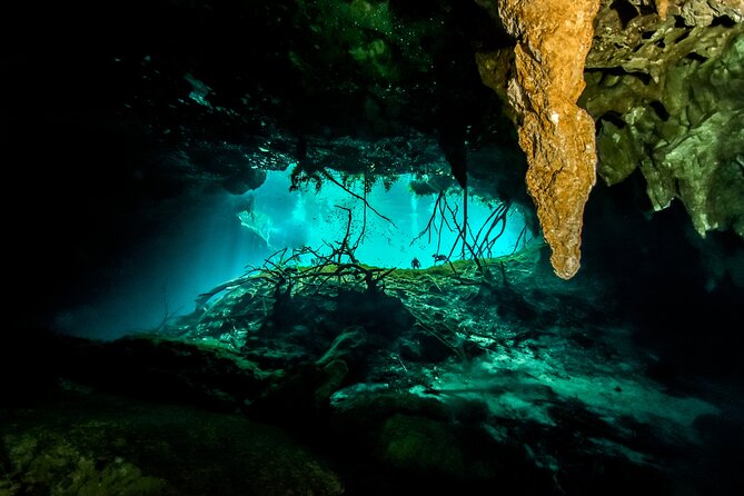 3 Cenote Dives - Casa & Dos Ojos - Timing, transport, and the long return to Tulum