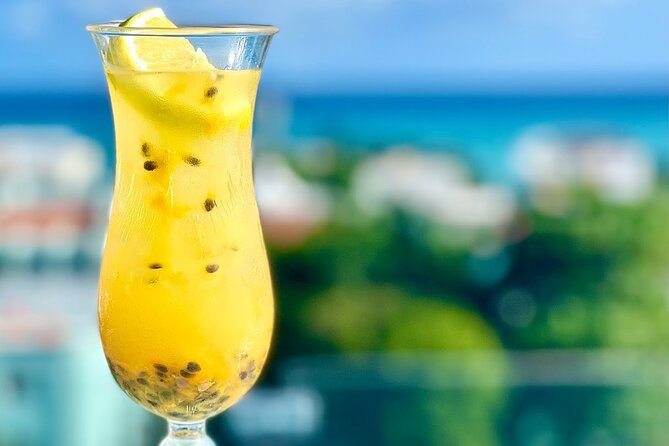 3-Hour Drinks and Appetizers Class in Playa del Carmen - A private home is the attraction, but know what to expect