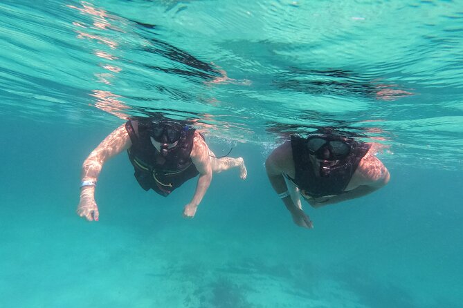 3 in 1 Private Tour Tulum Cenote and Snorkeling in the reef - Why this private day works so well