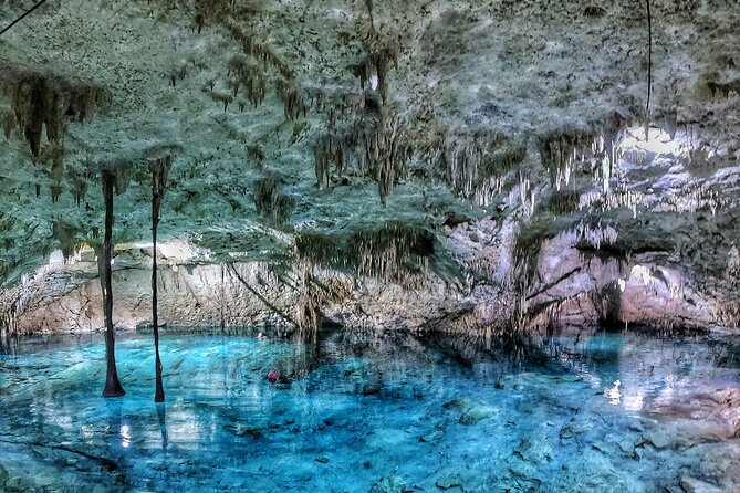 3 in 1 Private Tour Tulum Cenote and Snorkeling in the reef - Freshwater snorkeling at Cenote Xunaan-Ha