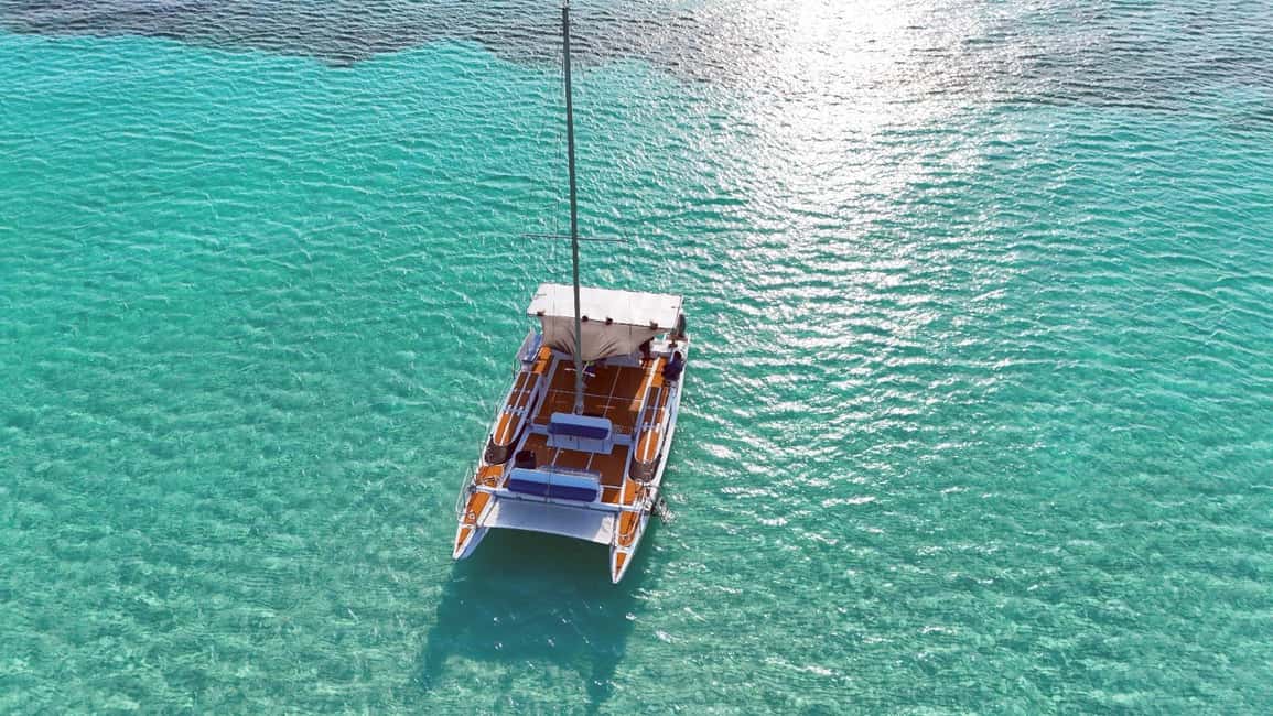 4 Hour Turtle Sanctuary Experience on a Luxury Catamarán - Key points to know before sailing