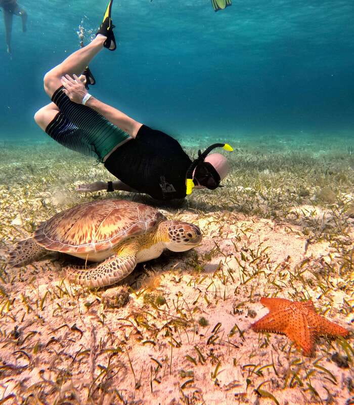 4 Hour Turtle Sanctuary Experience on a Luxury Catamarán - Who should book this outing
