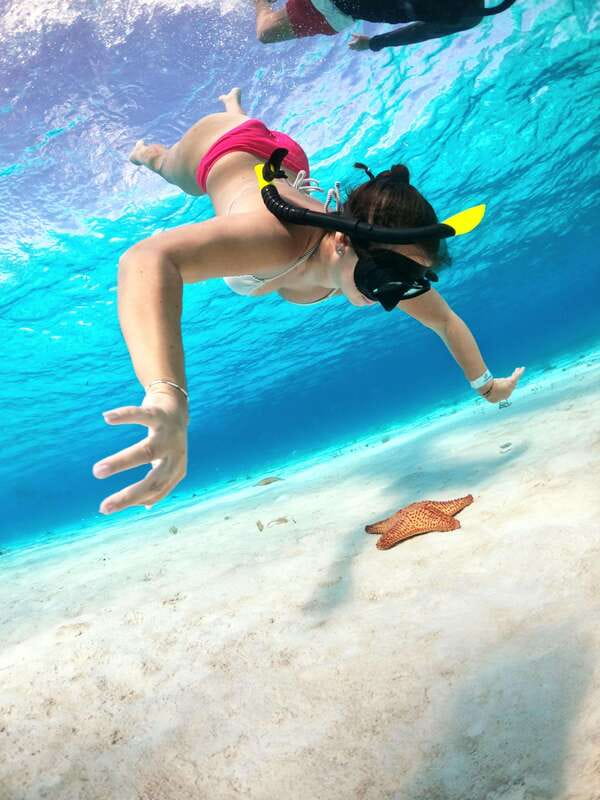 4 Hour Turtle Sanctuary Experience on a Luxury Catamarán - What the catamaran adds