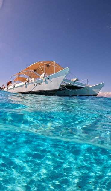 4 Hour Turtle Sanctuary Experience on a Luxury Catamarán - Food, drinks, and the real value of $78