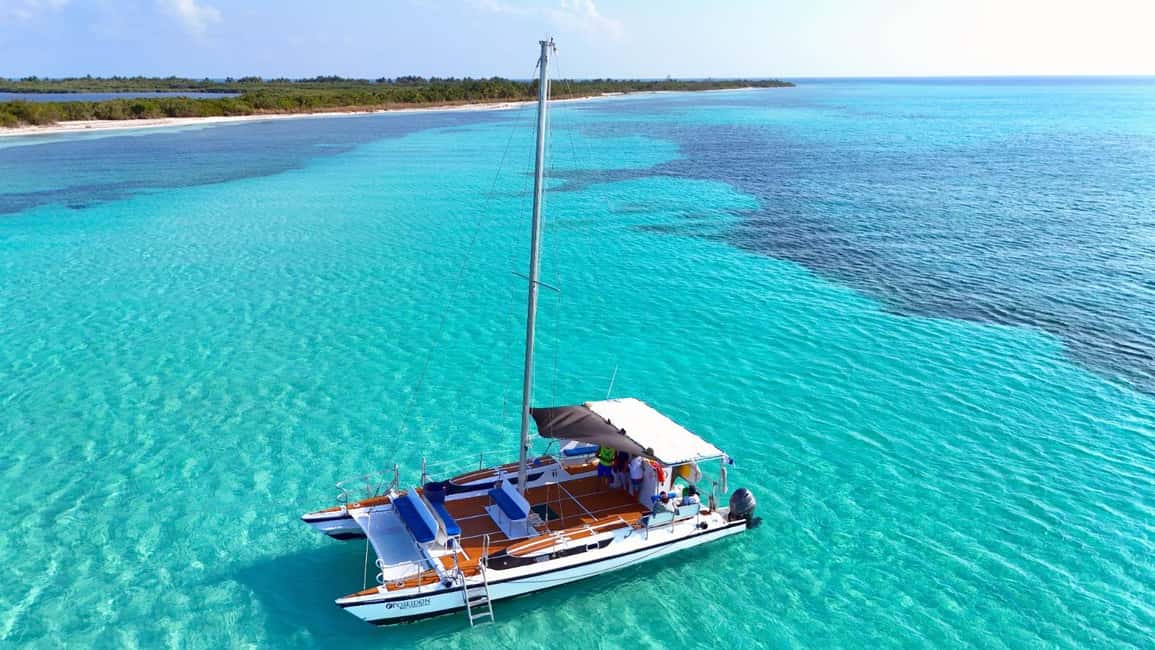 4 Hour Turtle Sanctuary Experience on a Luxury Catamarán - The green turtle sanctuary