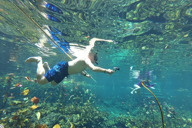 4 Private Cenotes, Zip-Lines, Canoes & Mayan Village with Delicious Lunch - The mosquito question after rainy weather