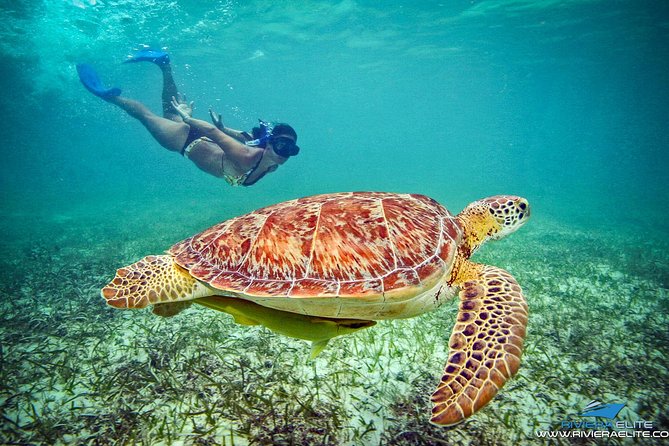 4H Private 38'Catamaran All-Inclusive in Tulum & Playa del Carmen - What the four hours really include
