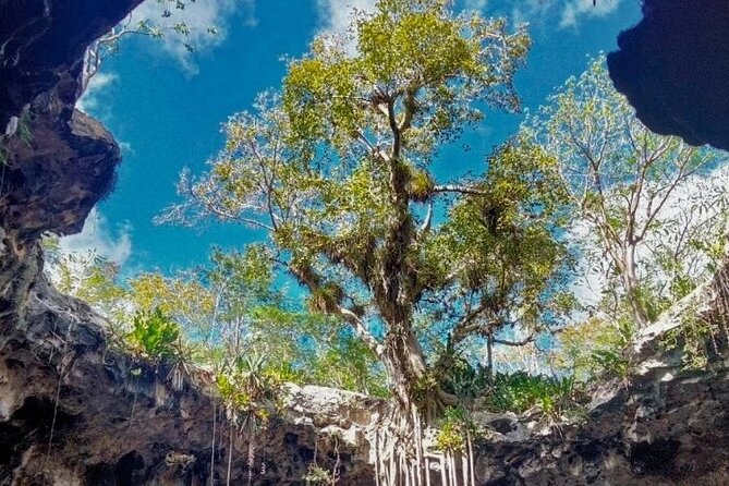 5-Day Riviera Maya and Yucatan Tour, Mexico - Day five: Rio Lagartos and Cenote Palomitas