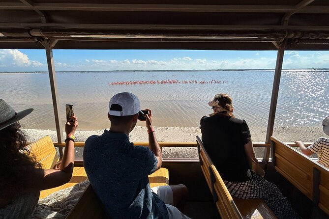 Admission Ticket to Safari in the Pink Lagoons of Las Coloradas - English guiding and the group experience