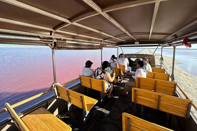 Admission Ticket to Safari in the Pink Lagoons of Las Coloradas - The salt hills that look almost lunar
