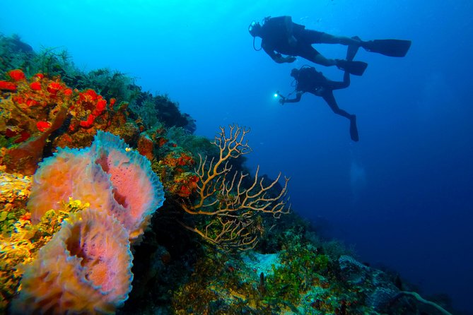 Advanced Open Water Diver course PADI in Playa del Carmen - Sea or cenote: why the setting matters