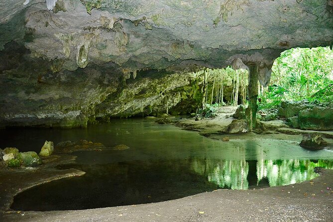 Adventure in ATV, Cenote swimming, snack & transportation - My call: book it for the ride and the setting