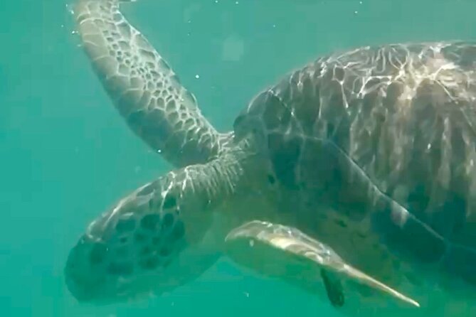Akumal Bay snorkeling, plus 3 cenotes and great food - Three cenotes away from the crowds