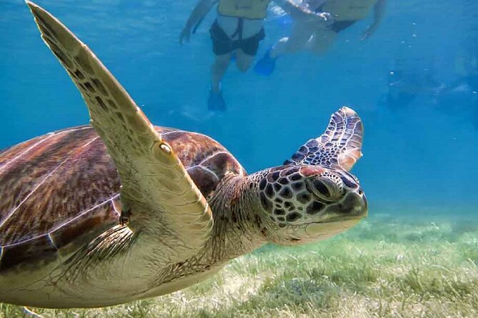 Akumal Bay snorkeling, plus 3 cenotes and great food - Is $169 a fair price?
