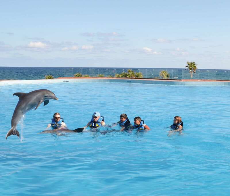 Akumal: Dolphin Encounter - The 40-minute water session focuses on contact and play