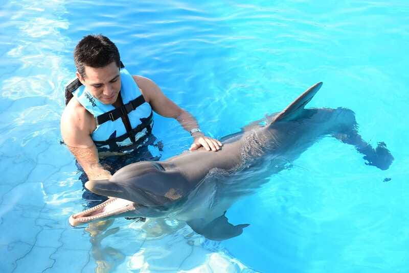 Akumal: Dolphin Encounter - The Akumal setting adds beach time, but not transportation