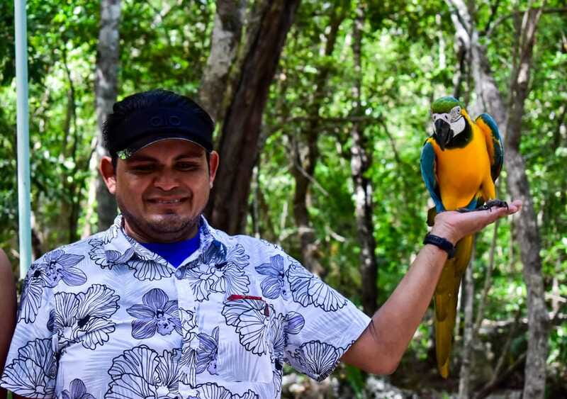 Akumal: Explore the Monkey Sanctuary, ATV Circuit and Cenote - From Tulum to the Akumal Monkey Sanctuary