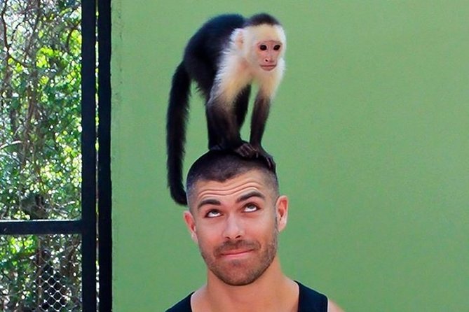 Akumal Monkey Sanctuary - The animal encounters are controlled, not constant touching