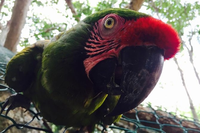 Akumal Monkey Sanctuary - Is the sanctuary suitable for families?