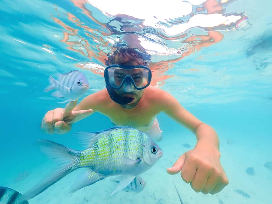 Akumal: Swim with Turtles in a Natural Paradise - Meeting at Oxxo Mar Azul before the swim
