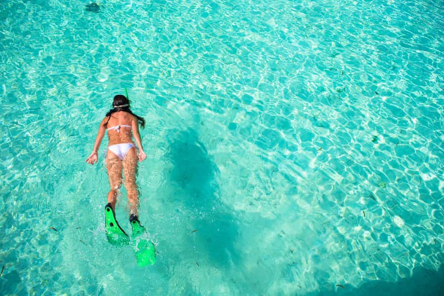Akumal: Swim with Turtles in a Natural Paradise - Is $54 a fair price?