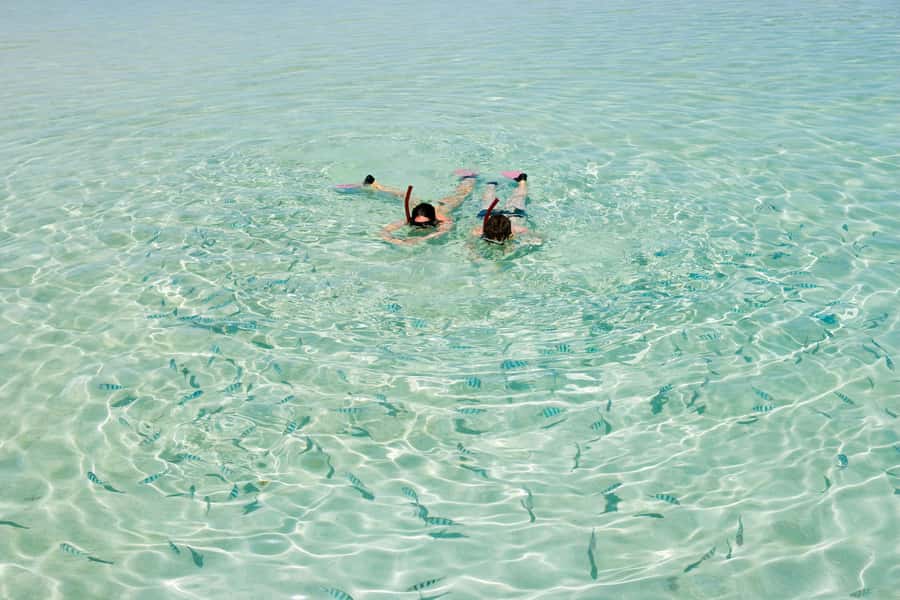 Akumal: Swim with Turtles in a Natural Paradise - Practical rules for a respectful swim