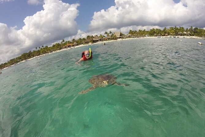 Akumal turtles sanctuary and go pro photos - The beach facilities make the short tour easier