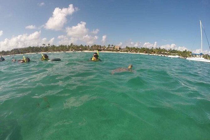 Akumal turtles sanctuary and go pro photos - Why early morning matters at Akumal