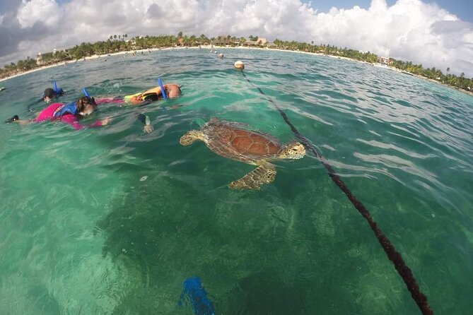 Akumal turtles sanctuary and go pro photos - Who will enjoy this Akumal swim most